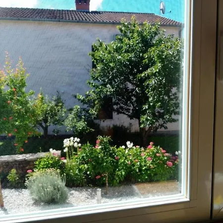 Daire Apartment Amore