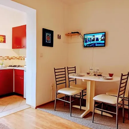 Apartment Amore דירה רוביני