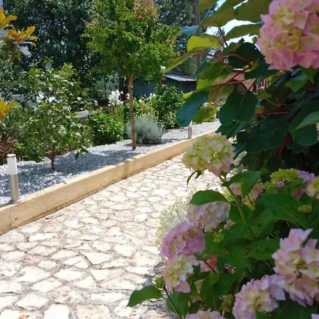 Apartment Amore * רוביני